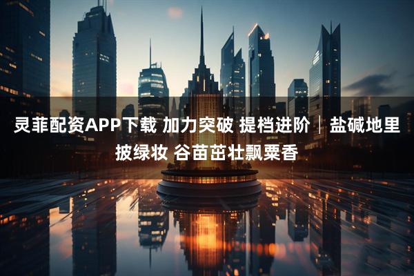 灵菲配资APP下载 加力突破 提档进阶│盐碱地里披绿妆 谷苗茁壮飘粟香